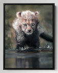 Cheetah Cub Water