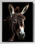 Donkey Black Portrait