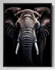 Elephant Black Portrait