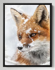 Fox Snow