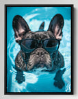 French Bulldog Swimming