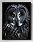 Great Grey Owl Black Portrait