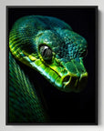 Green Snake Black Portrait