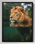 Lion In River
