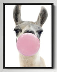 Llama Bubblegum