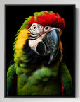 Macaw Parrot Black Portrait