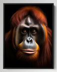 Orangutan Black Portrait