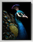 Peacock Black Portrait