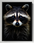 Raccoon Black Portrait