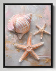 Sea Star Shell