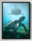 Shark Turtle