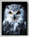 Snowy Owl Black Portrait