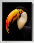 Toucan Black Portrait