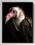 Vulture Black Portrait