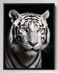 White Tiger Black Portrait