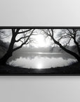 Pond black