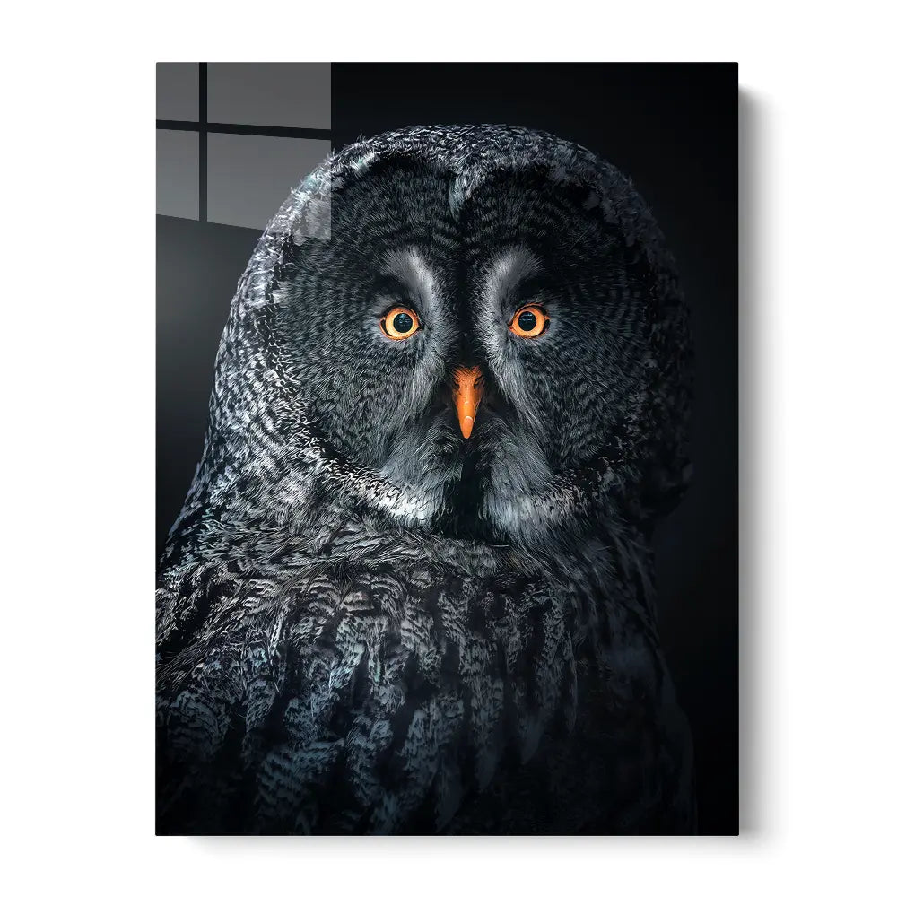 Owl At Night