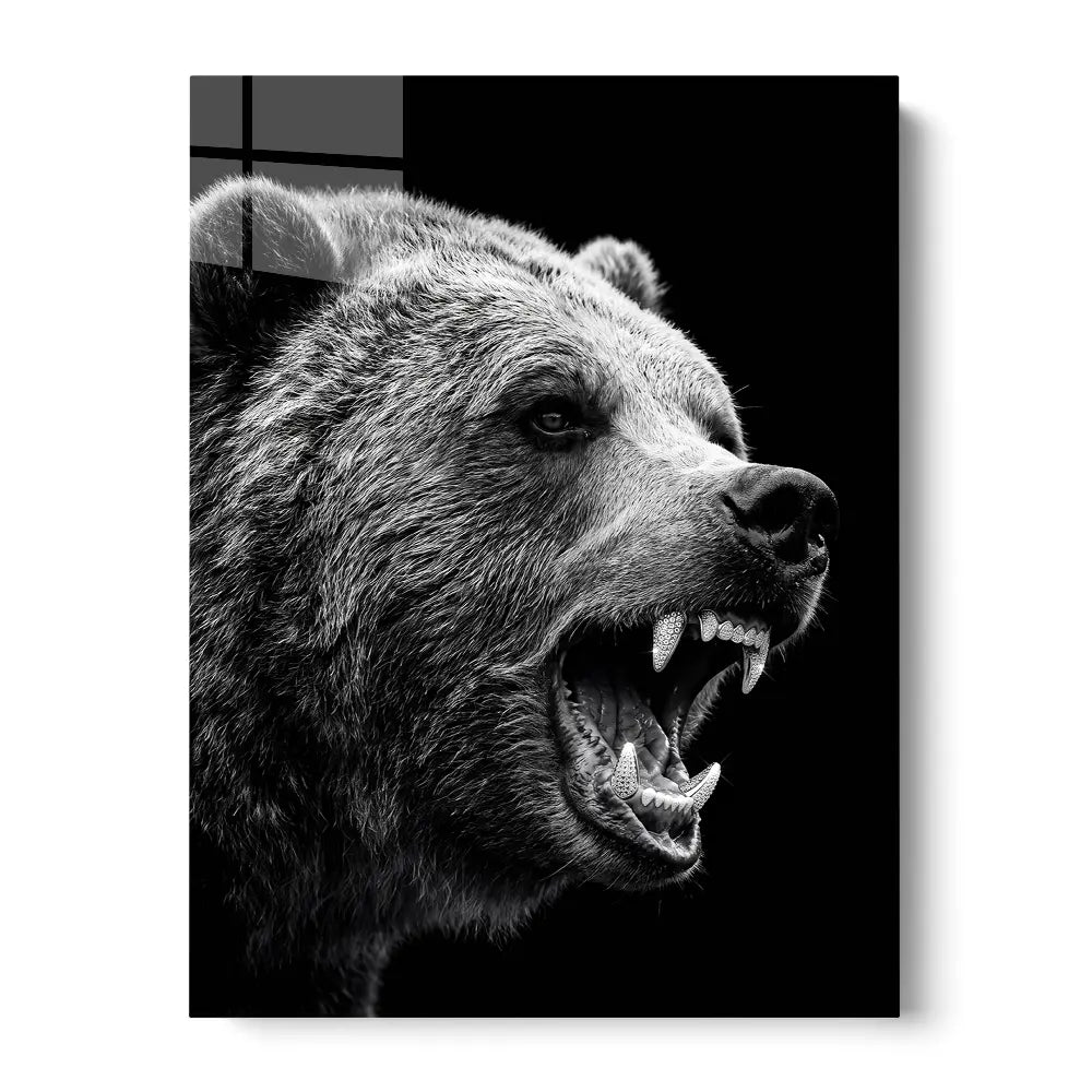 Bear Iced Out