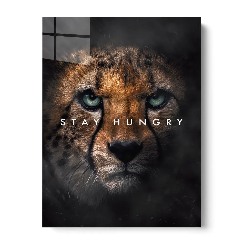 Cheetah Stay Hungry