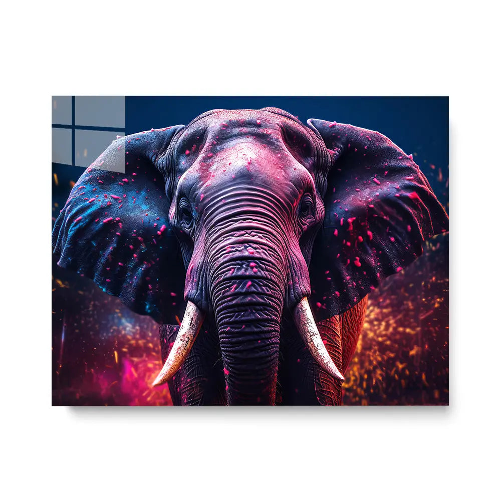 Elephant Splash