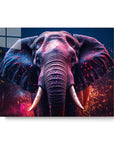Elephant Splash