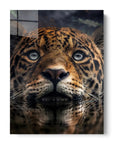 Jaguar Swimming
