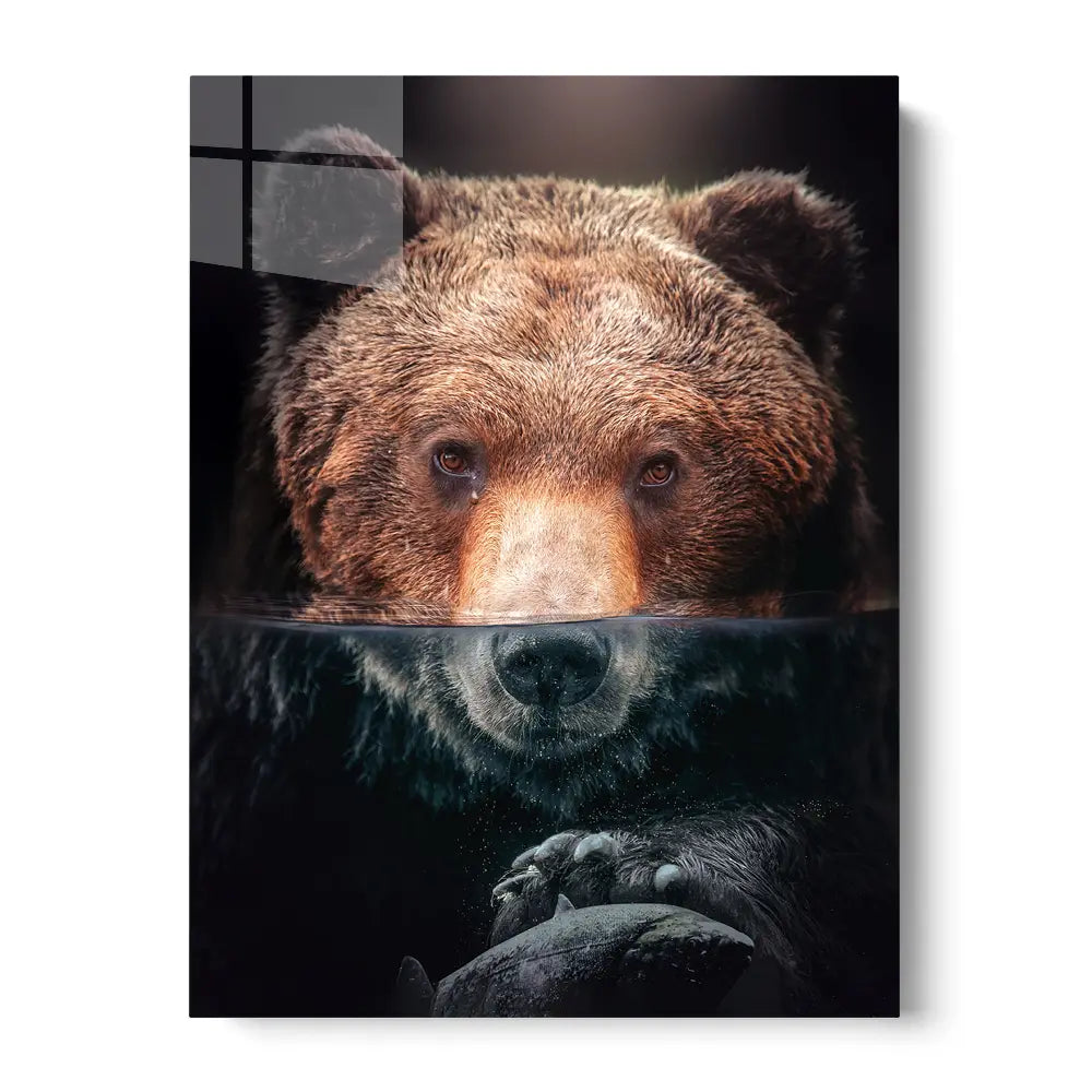 Underwater Bear Portrait