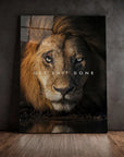 Lion Get Shit Done