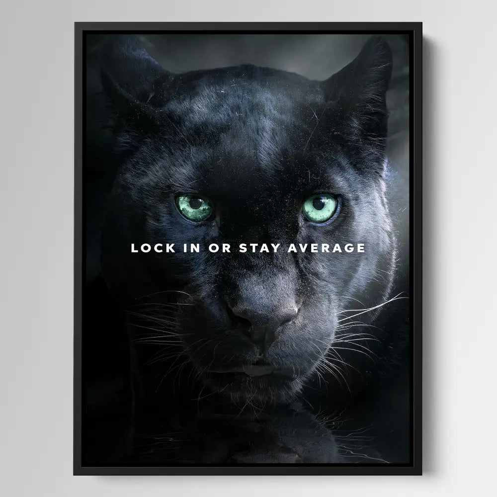 Panther Lock In Stay Average