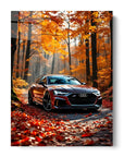 Autumn Colors Audi