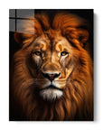 Beautiful Lion Black Portrait
