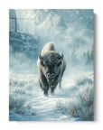 Bison In The Snow