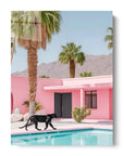 Black Panther Pink House