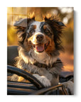 Border Collie Car