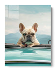 Bulldog Cabrio Car
