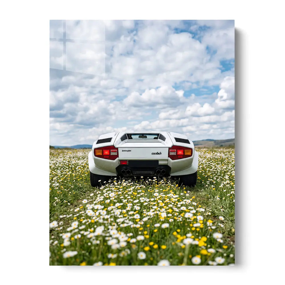 Classic Countach Dream