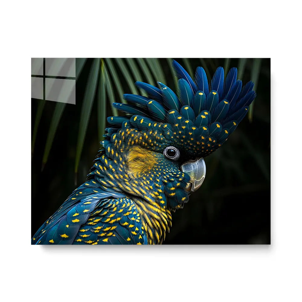Cockatoo Jungle