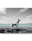 Dalmatian Water