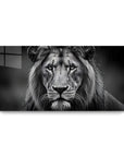 Dark Lion Rain