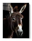 Donkey Black Portrait
