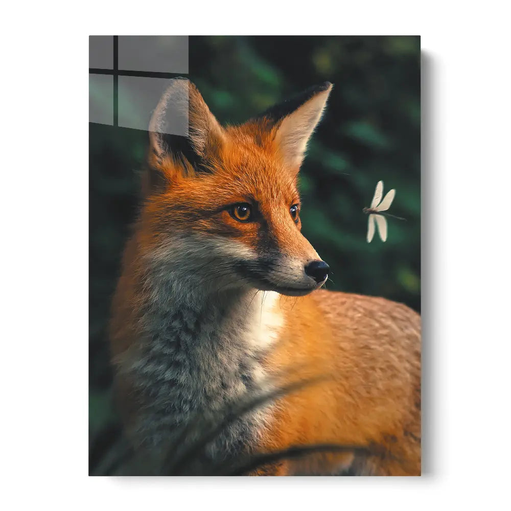 Dragonfly Fox Portrait