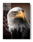 Eagle USA