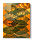 Forest Canopy
