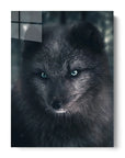 Fox Black