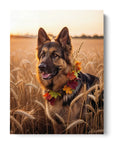 German Shepherd Wheat