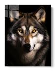 Gray Wolf Black Portrait