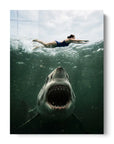 Jaws Shark Swimming