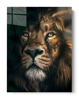 Jungle Lion
