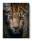 Leopard Hiding Tree