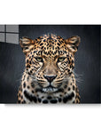 Leopard Rain